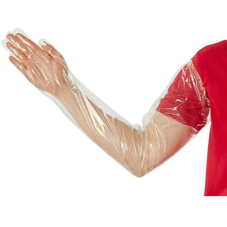 202412190838202 202412190838202